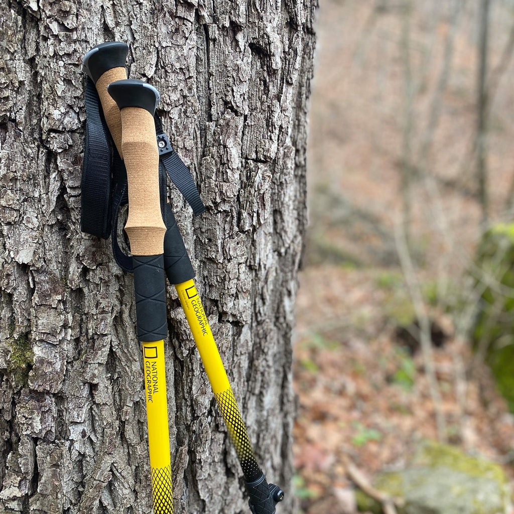National Geographic Trekking Pole Set