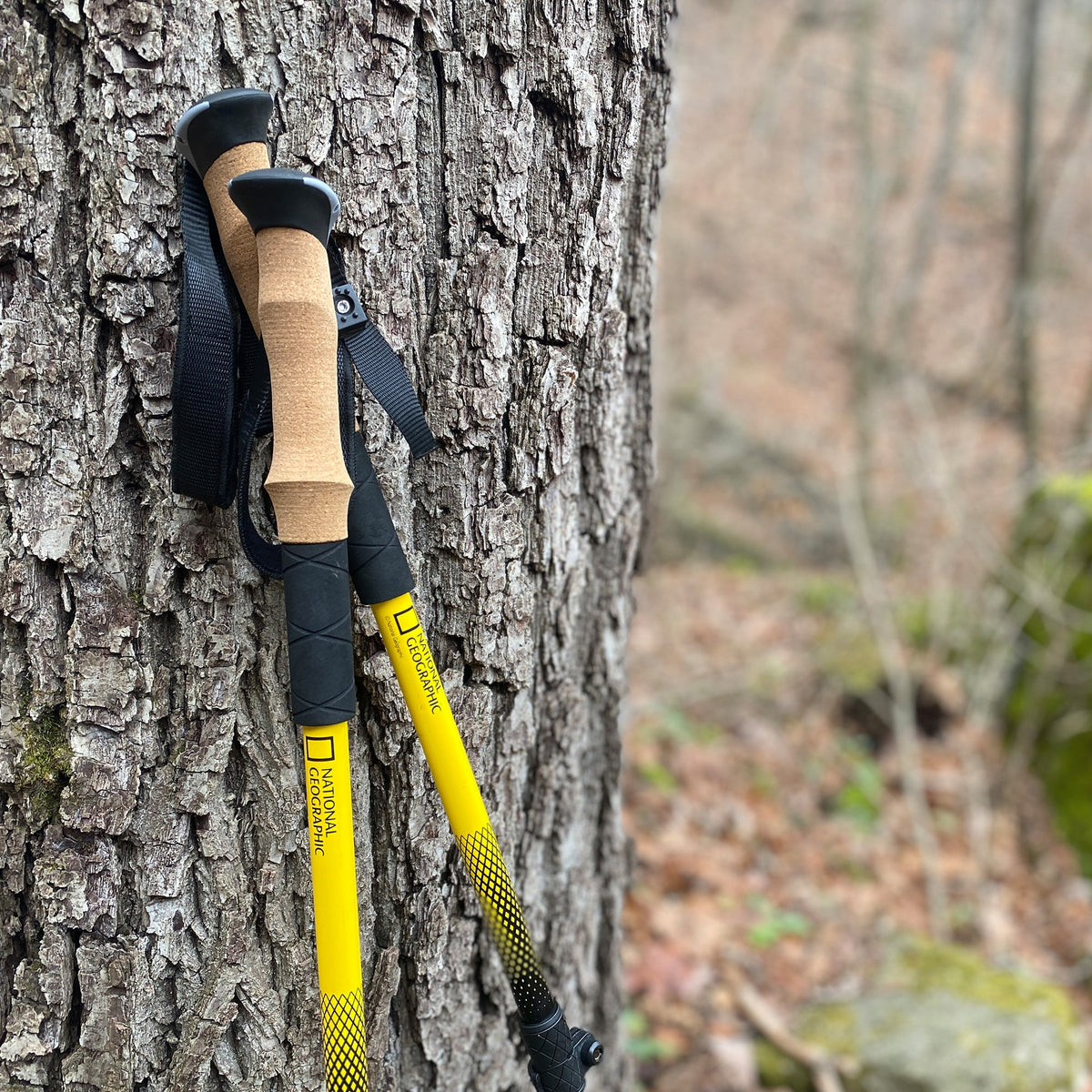 National Geographic Trekking Pole Set