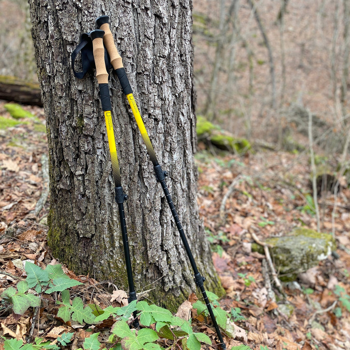 National Geographic Trekking Pole Set