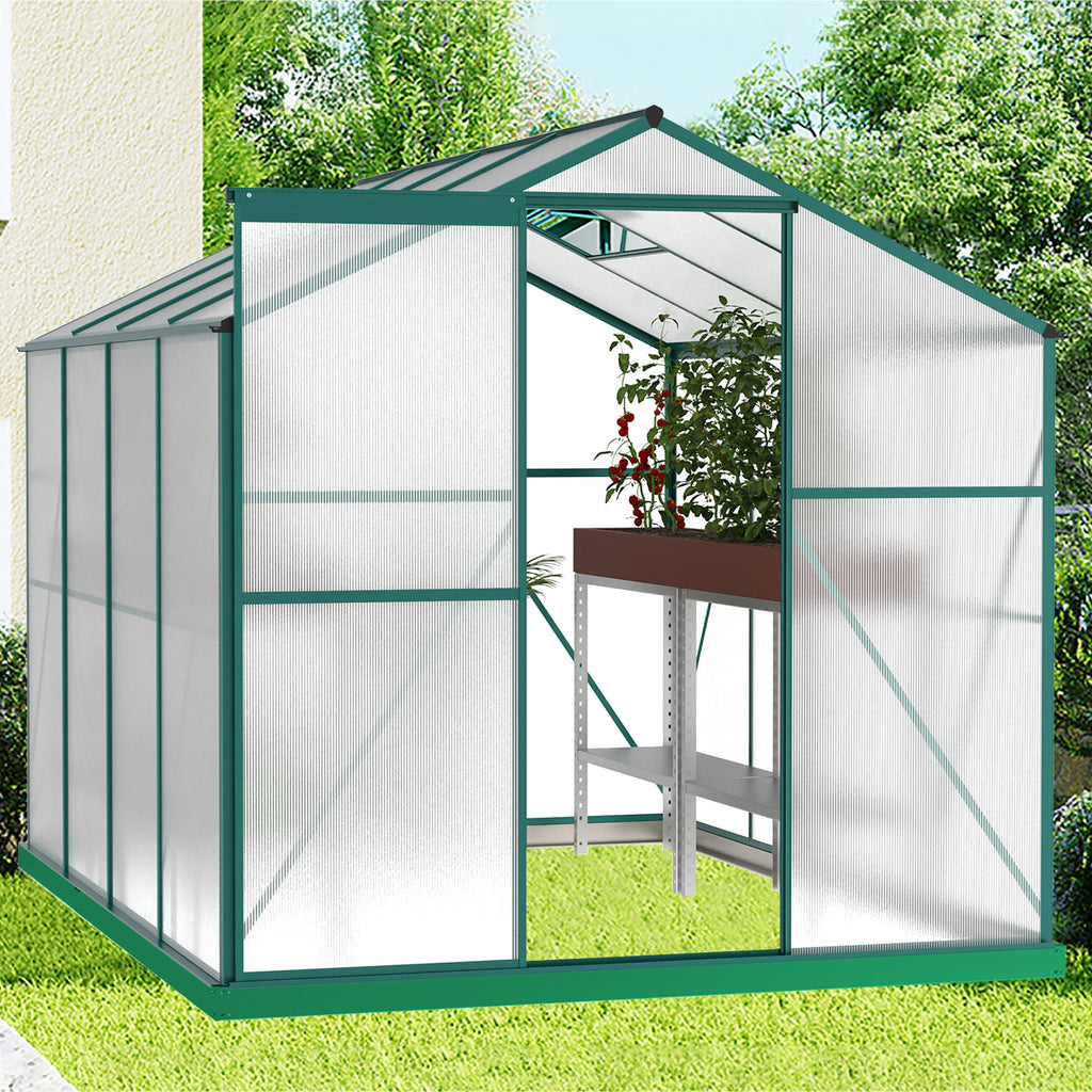 6' x 8' Heavy-Duty Polycarbonate Walk-In Greenhouse