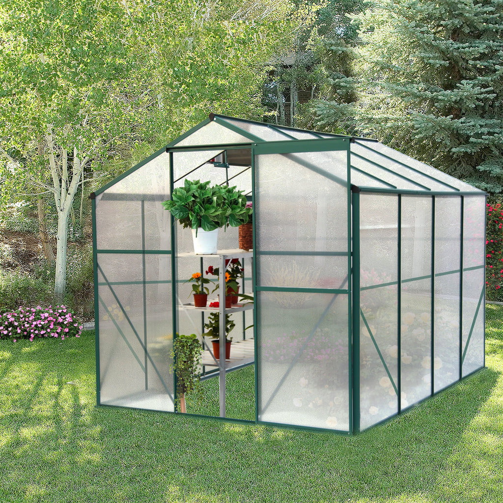 6' x 8' Heavy-Duty Polycarbonate Walk-In Greenhouse