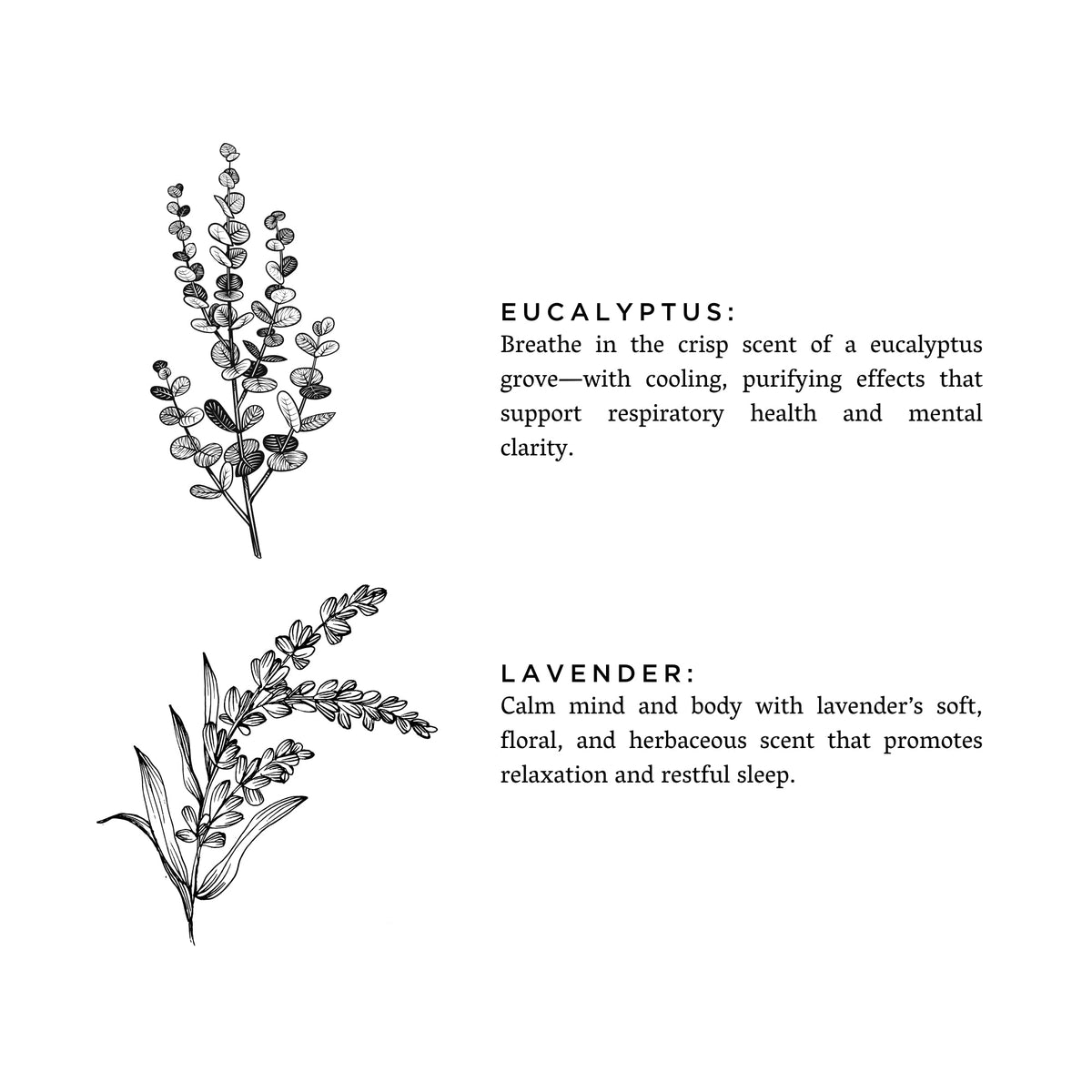 Laundry Powder - Eucalyptus + Lavender