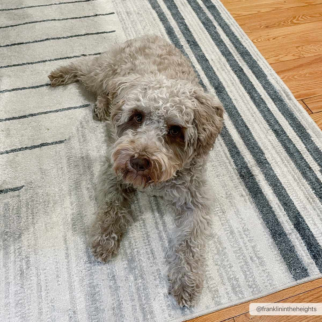 Boutique Rugs Thad Washable Area Rug – Medium Gray