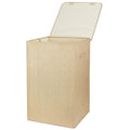 Foldable Laundry Hamper with Lid & Handles