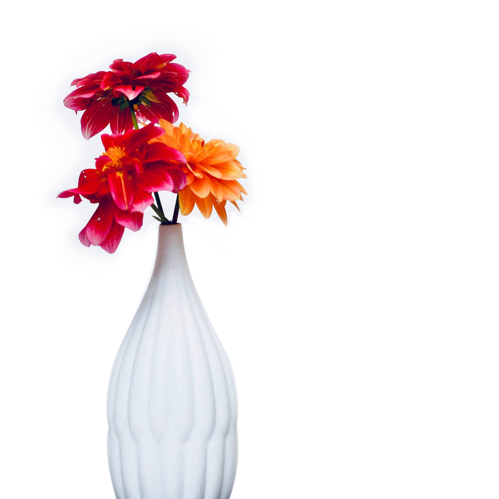 Textured White Porcelain Vase Set of 3