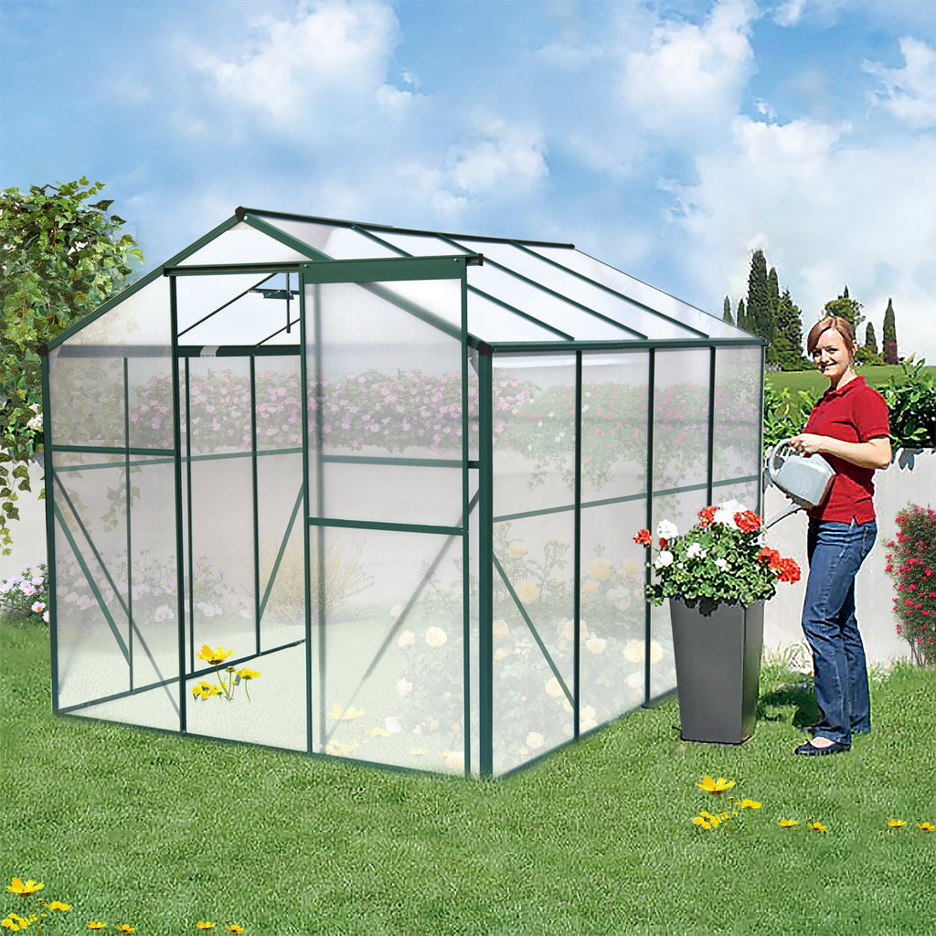 6' x 8' Heavy-Duty Polycarbonate Walk-In Greenhouse