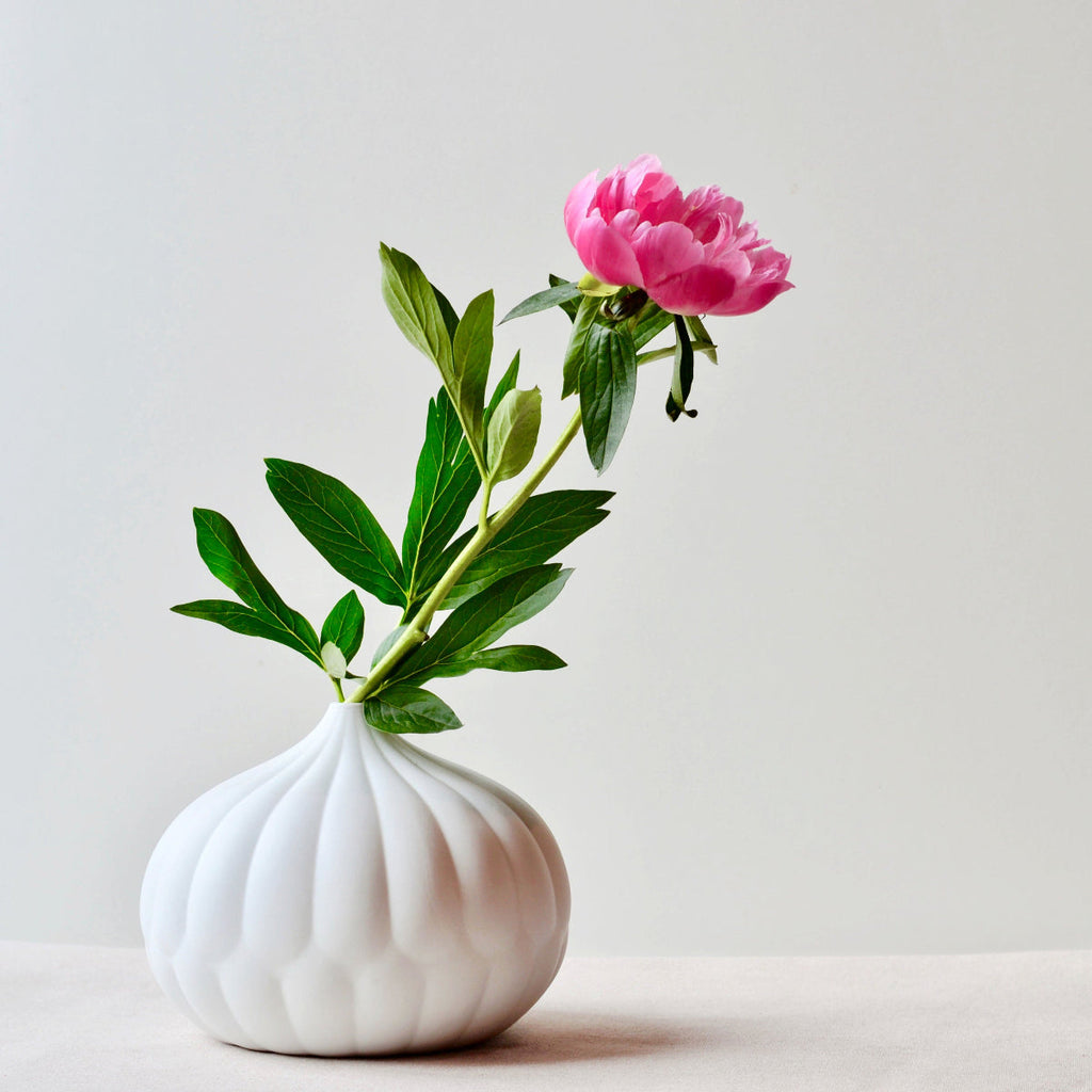 Textured White Porcelain Vase Set of 3
